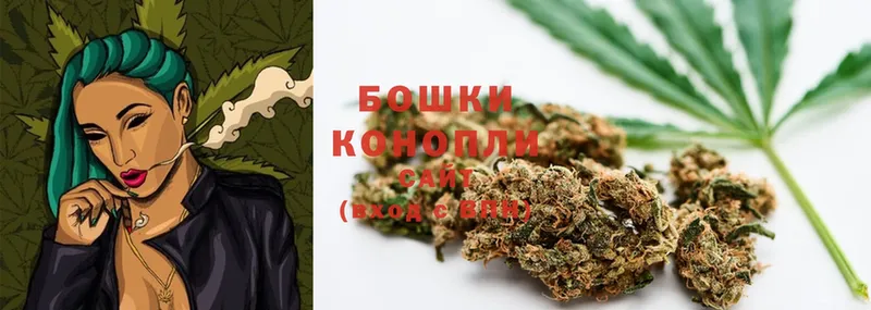 нарко площадка как зайти  Пыталово  Конопля THC 21% 